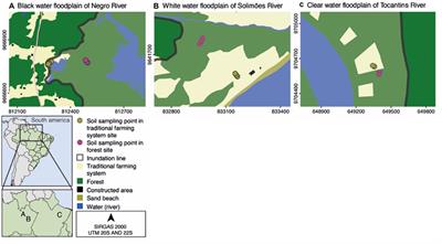 Microbial metabolic activity in Amazon floodplain forest and agricultural soils